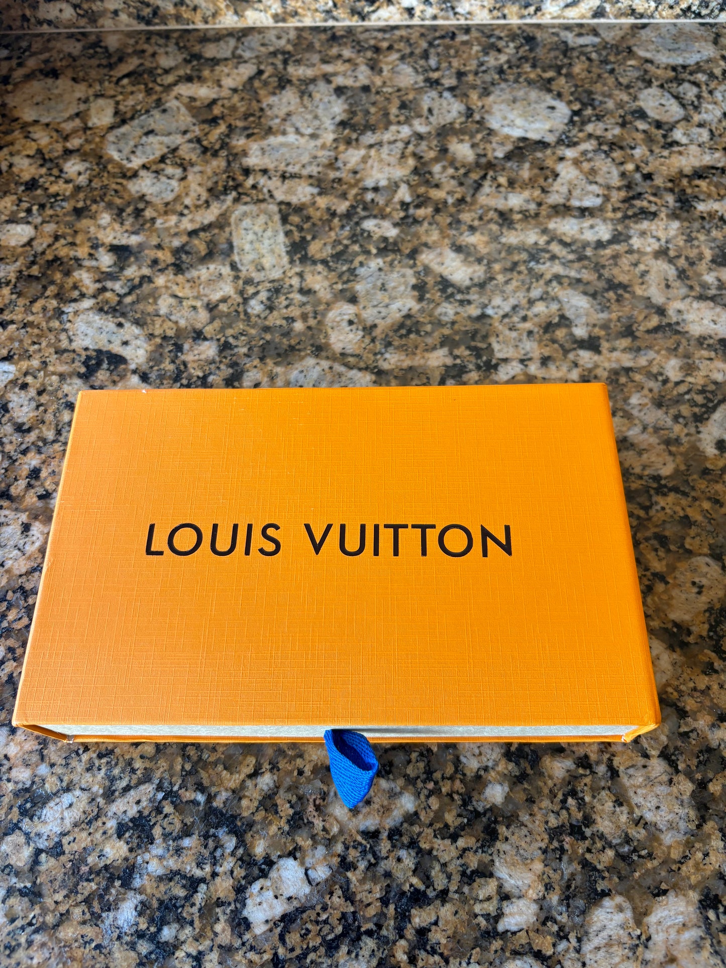 LV Purse