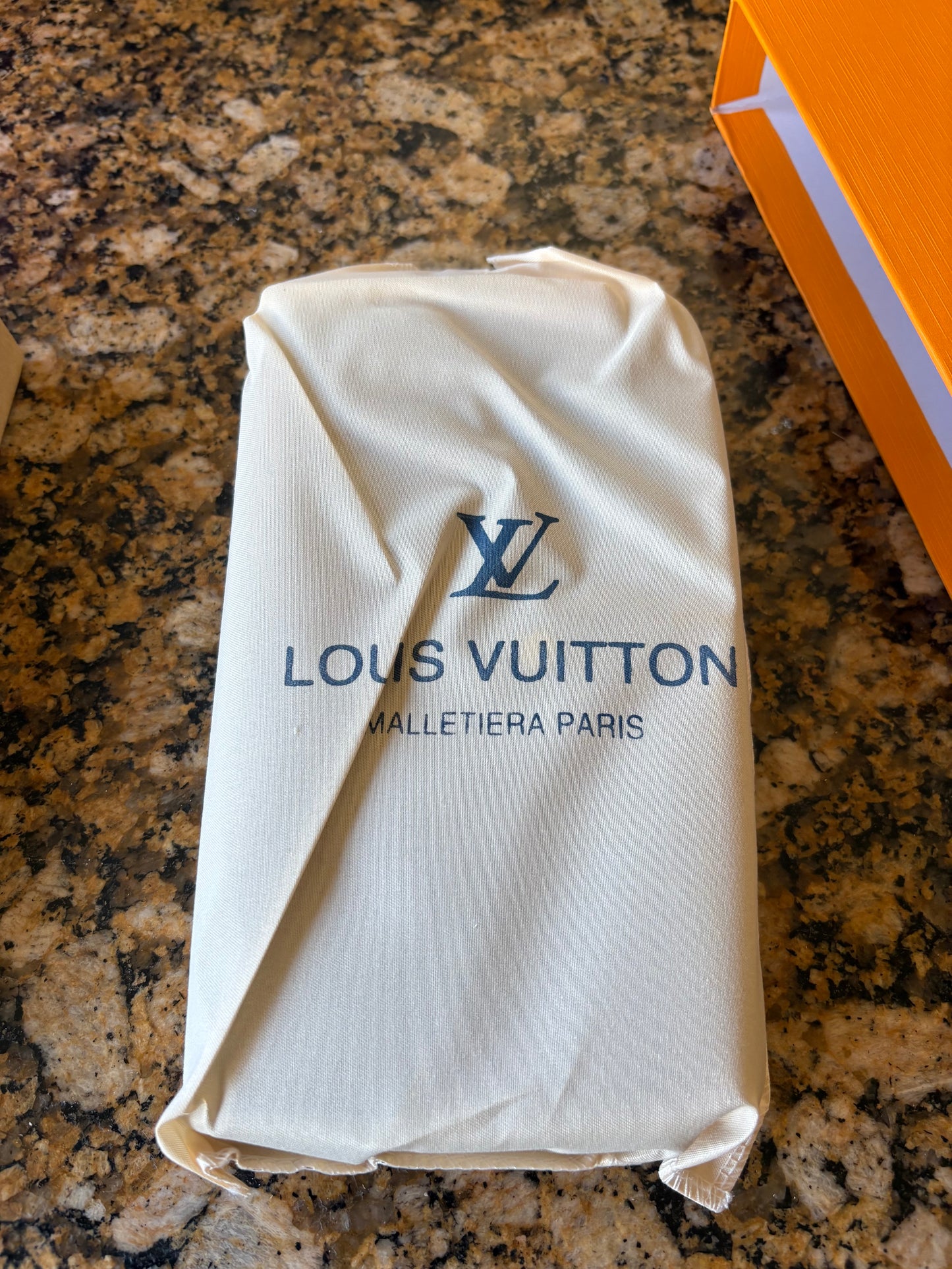 LV Purse